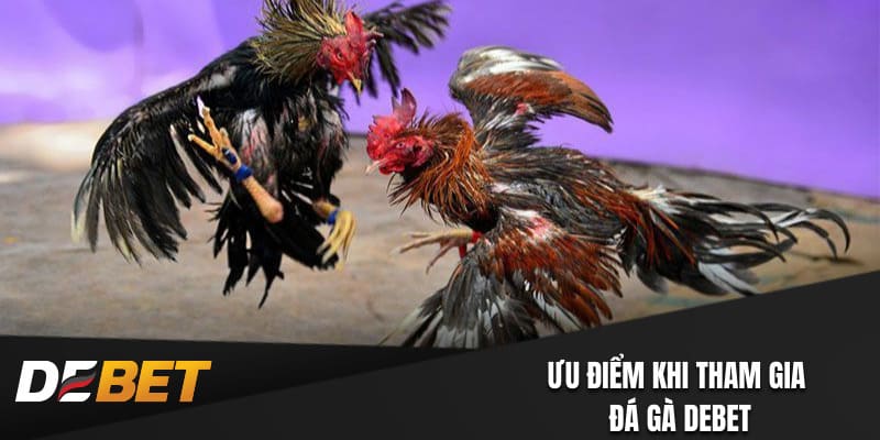 5 ưu điểm lớn của chuyên mục