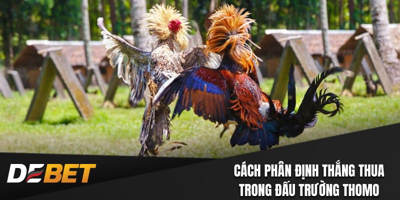 Cách phân định thắng thua trong đấu trường Thomo