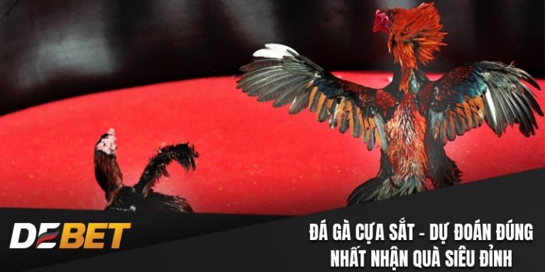 Đá gà cựa sắt