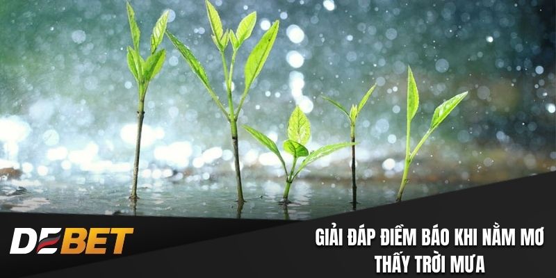 Giải đáp điềm báo về việc mơ thấy trời mưa cùng Debet