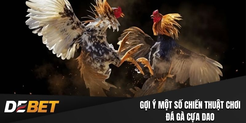 Gợi ý một số chiến thuật chơi đá gà cựa dao