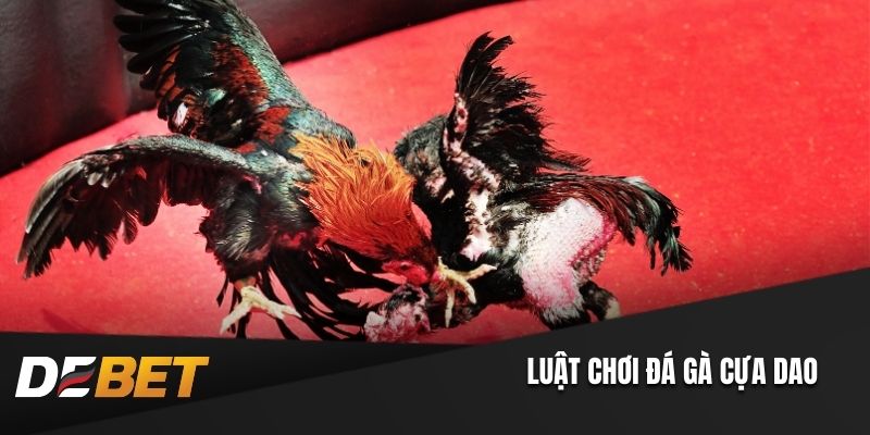 Luật chơi đá gà cựa dao