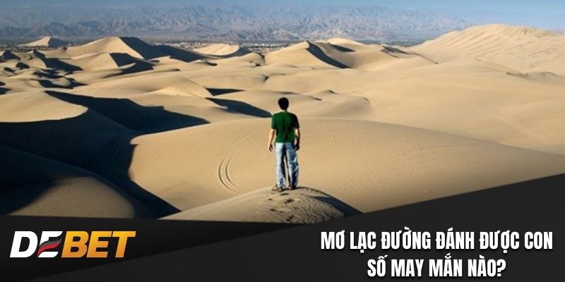 Mơ lạc đường đánh được con số may mắn nào?