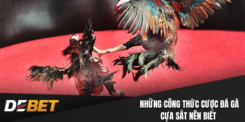 Những công thức cược đá gà cựa sắt nên biết 