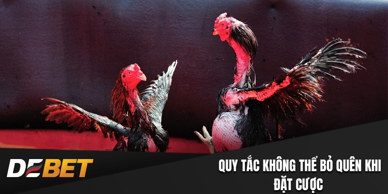 Quy tắc không thể bỏ quên khi đặt cược 